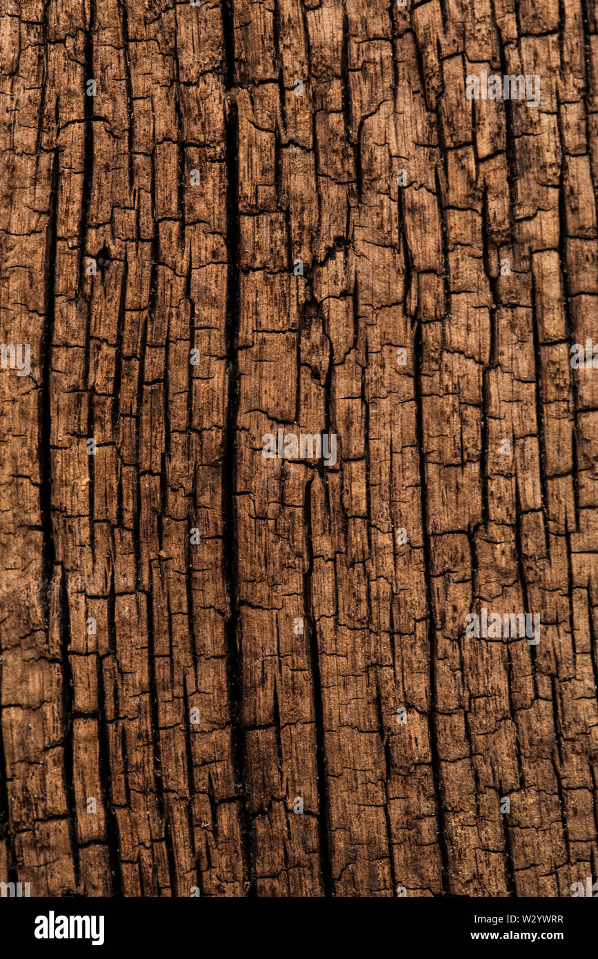 Close up of an Oak fence post showing splits and cracking along the