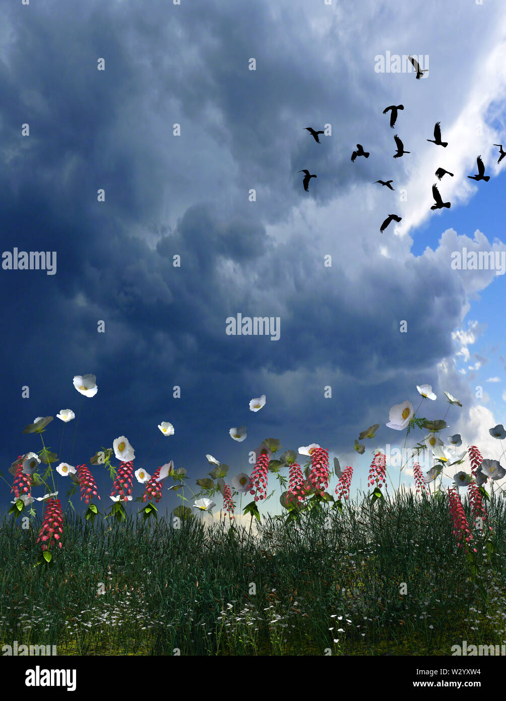 illustration of a field with wildflowers and a large expanse of cloudy sky with crows in the distance. Stock Photo