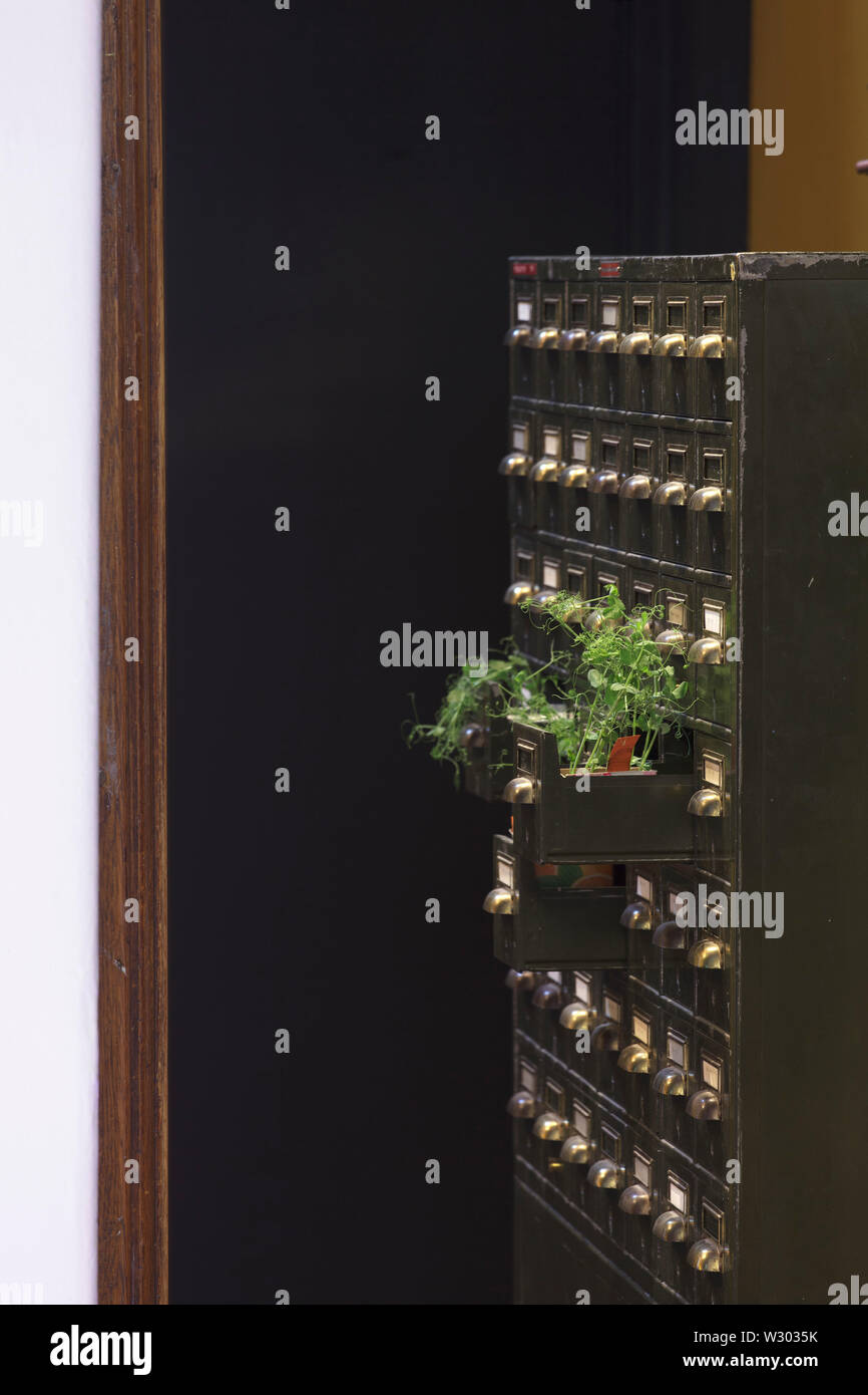 Antique card index cabinet with plant, on ground floor. Deichman Library Grunerlokka, Oslo, Norway. Architect: Aat Vos, 2019. Stock Photo