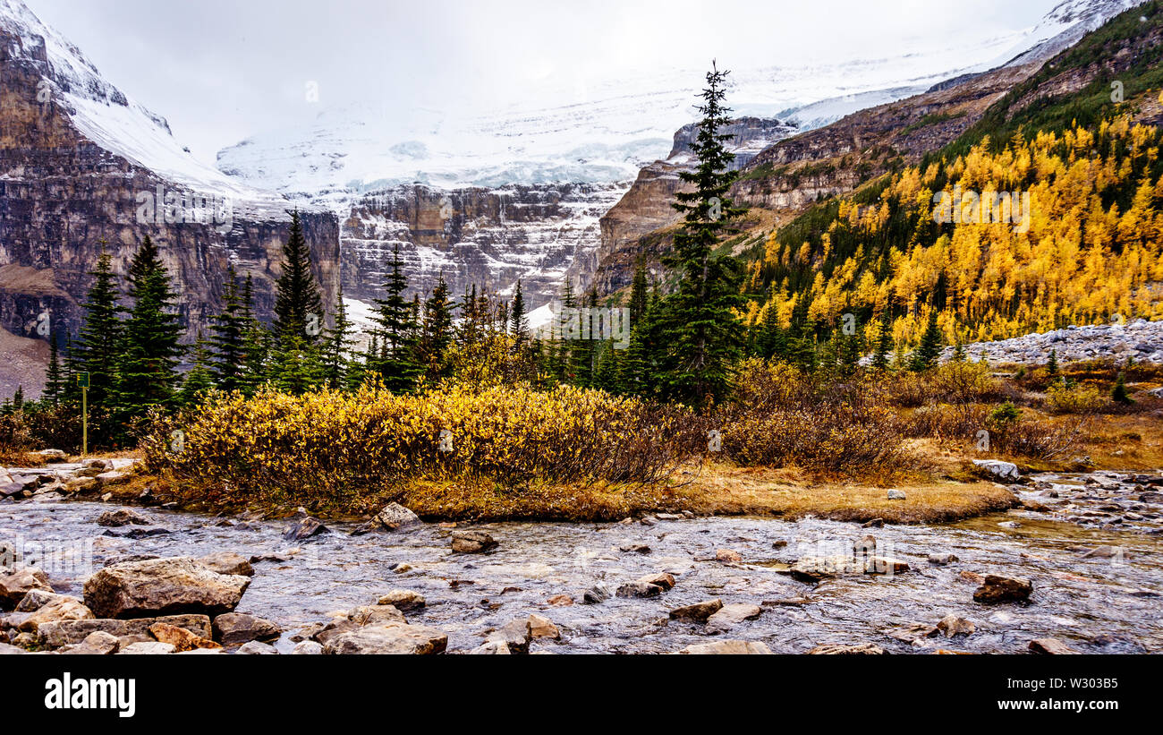 View of the Victoria Glacier viewed from the hiking trail from the