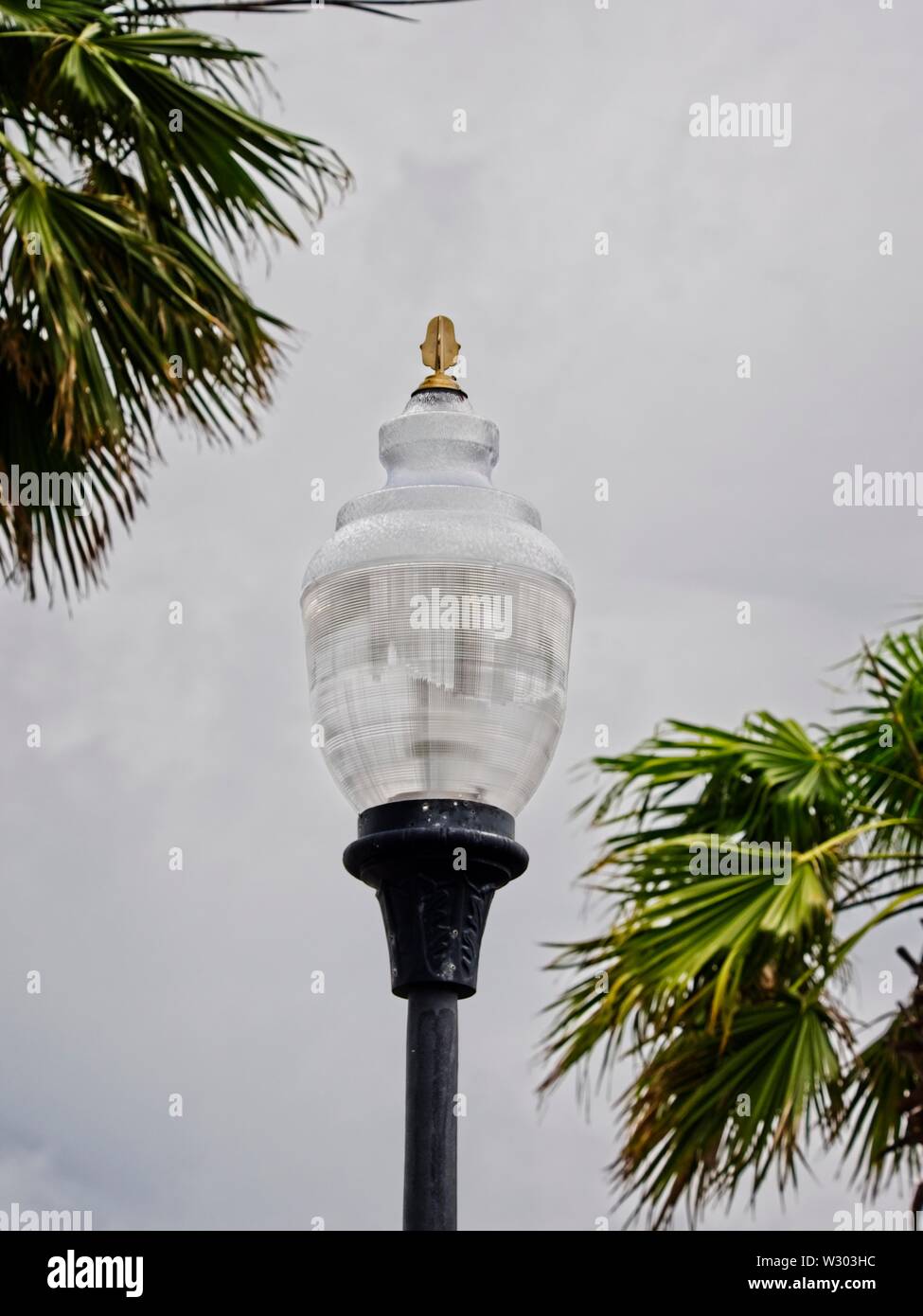 Gulf Shores, AL USA - 05/08/2019  -  Street Lamp with Palm Trees Stock Photo