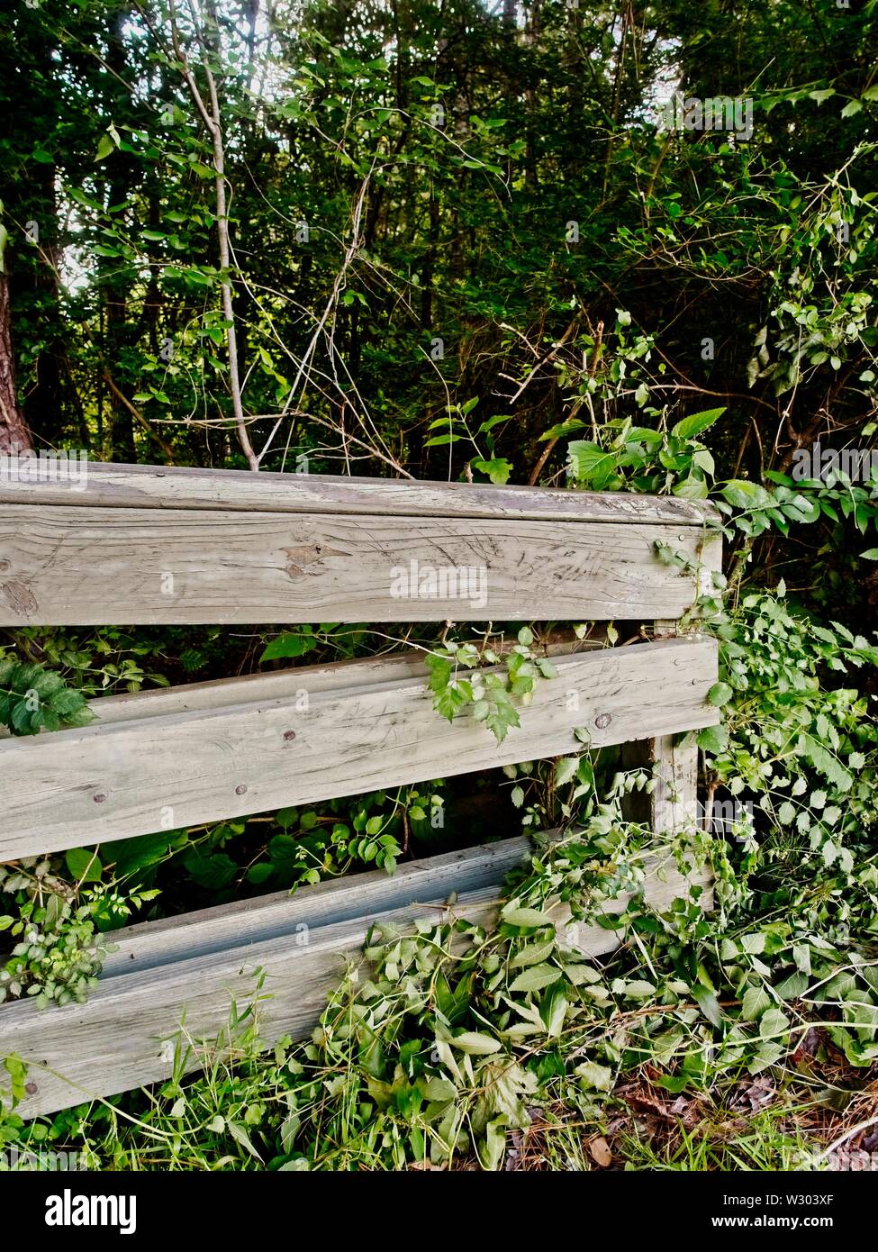 The Woodlands, TX USA - 05/24/2019  -  Wooden Guard Rails Stock Photo