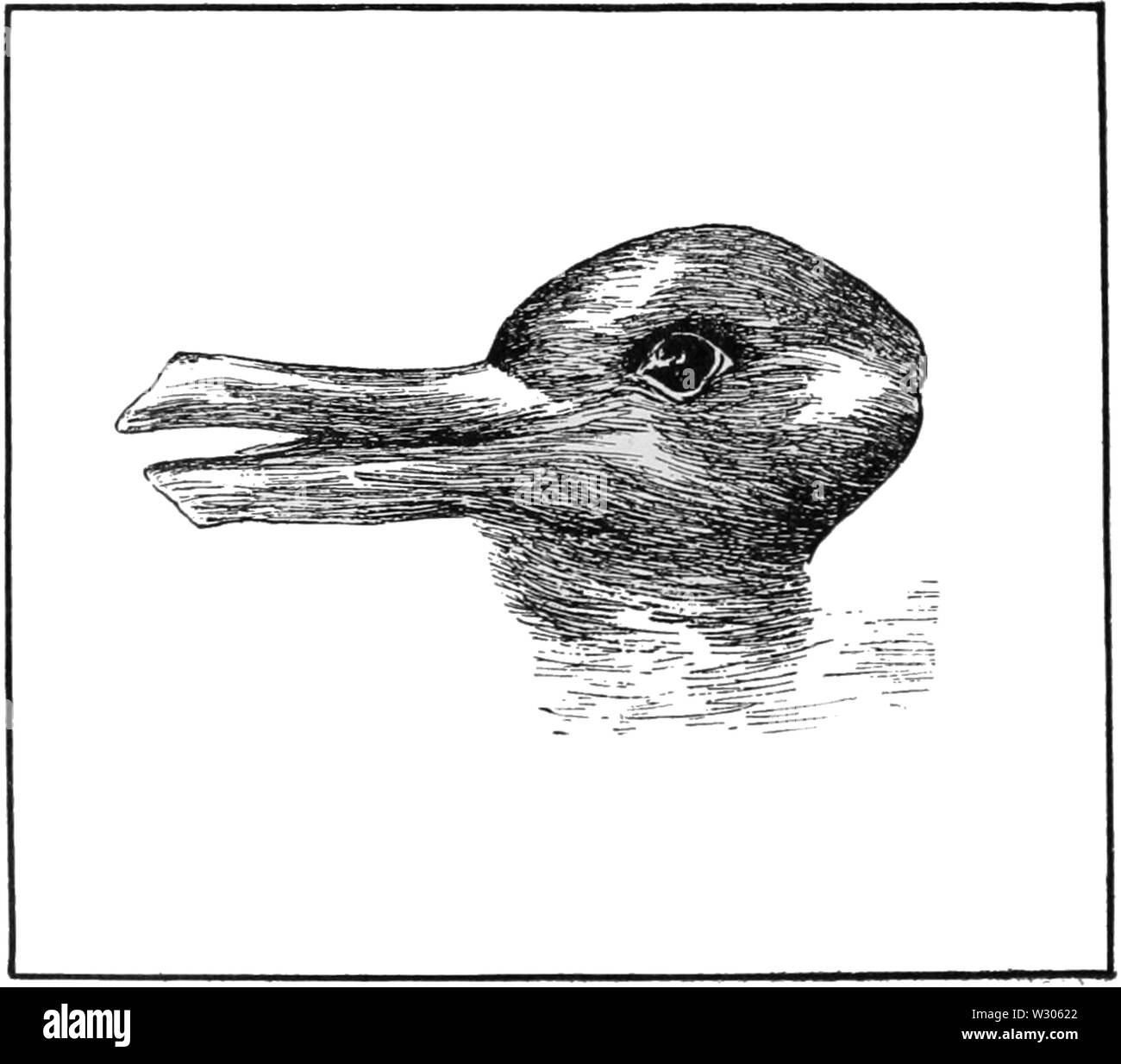Optical illusion duck rabbit hi-res stock photography and images - Alamy