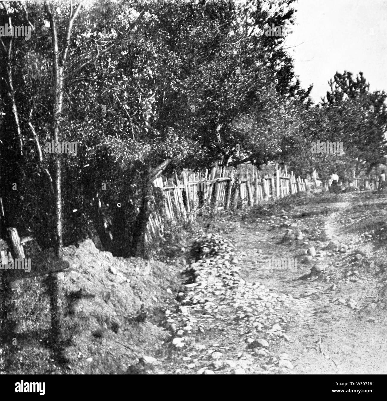 Pathway to history Black and White