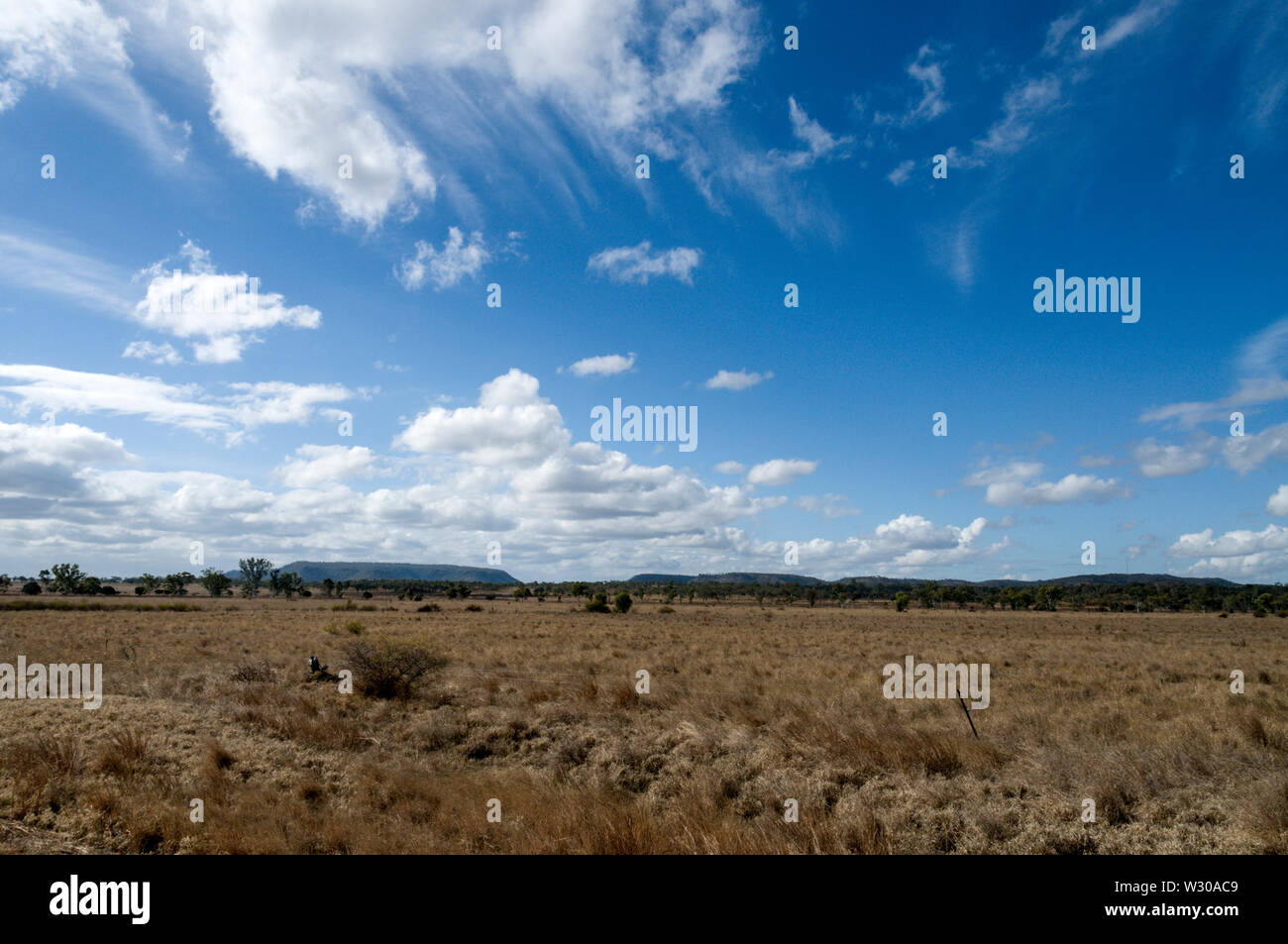 Wide open farmland near Springsure in the Queensland central highlands of Australia Stock Photo