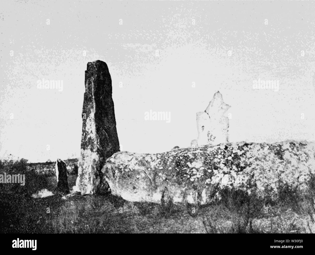 PSM V67 D634 Menhirs near carnac brittany Stock Photo