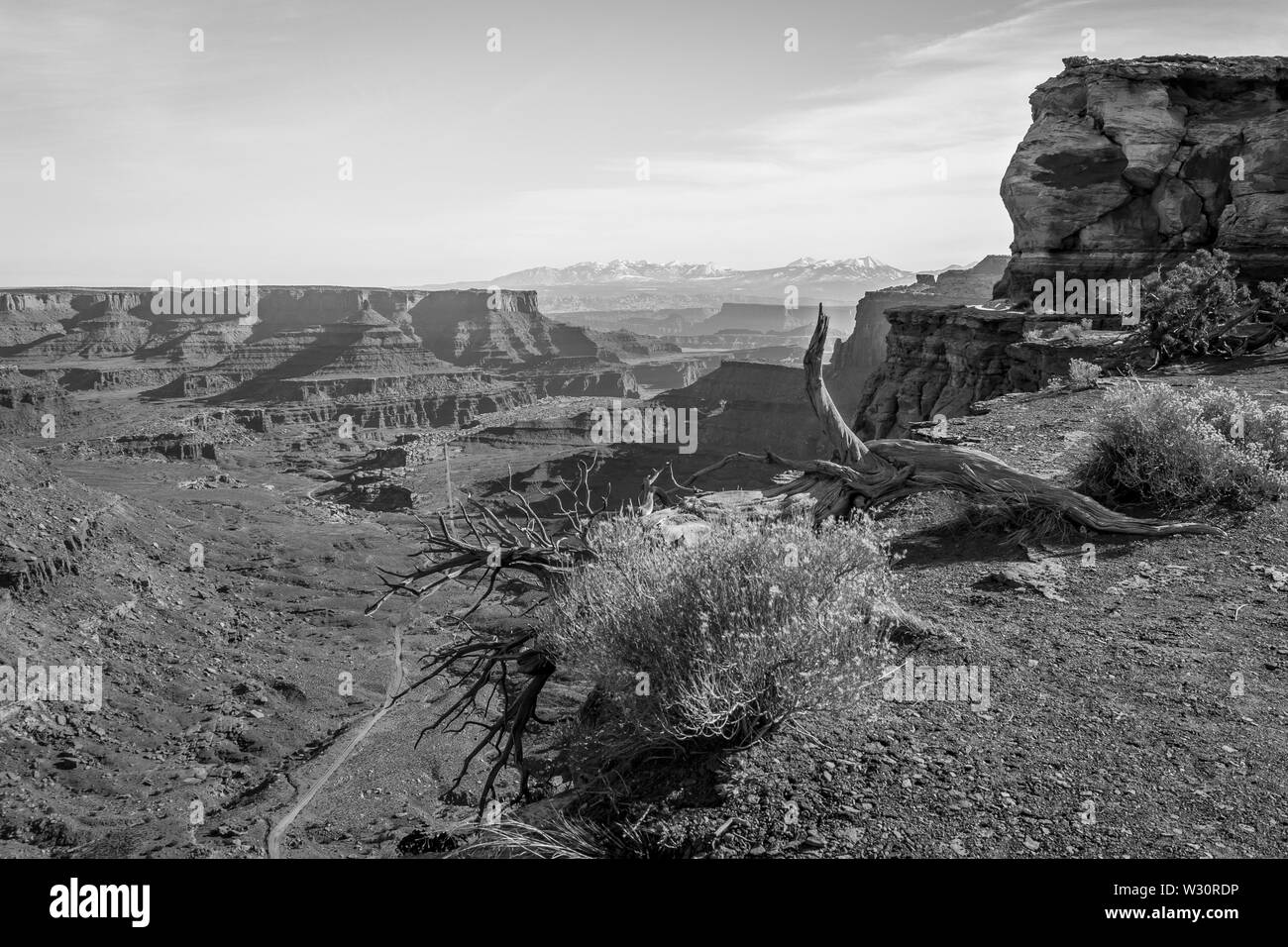 Looking back towards Moab, UT in Canyonlands National Park, USA Stock Photo