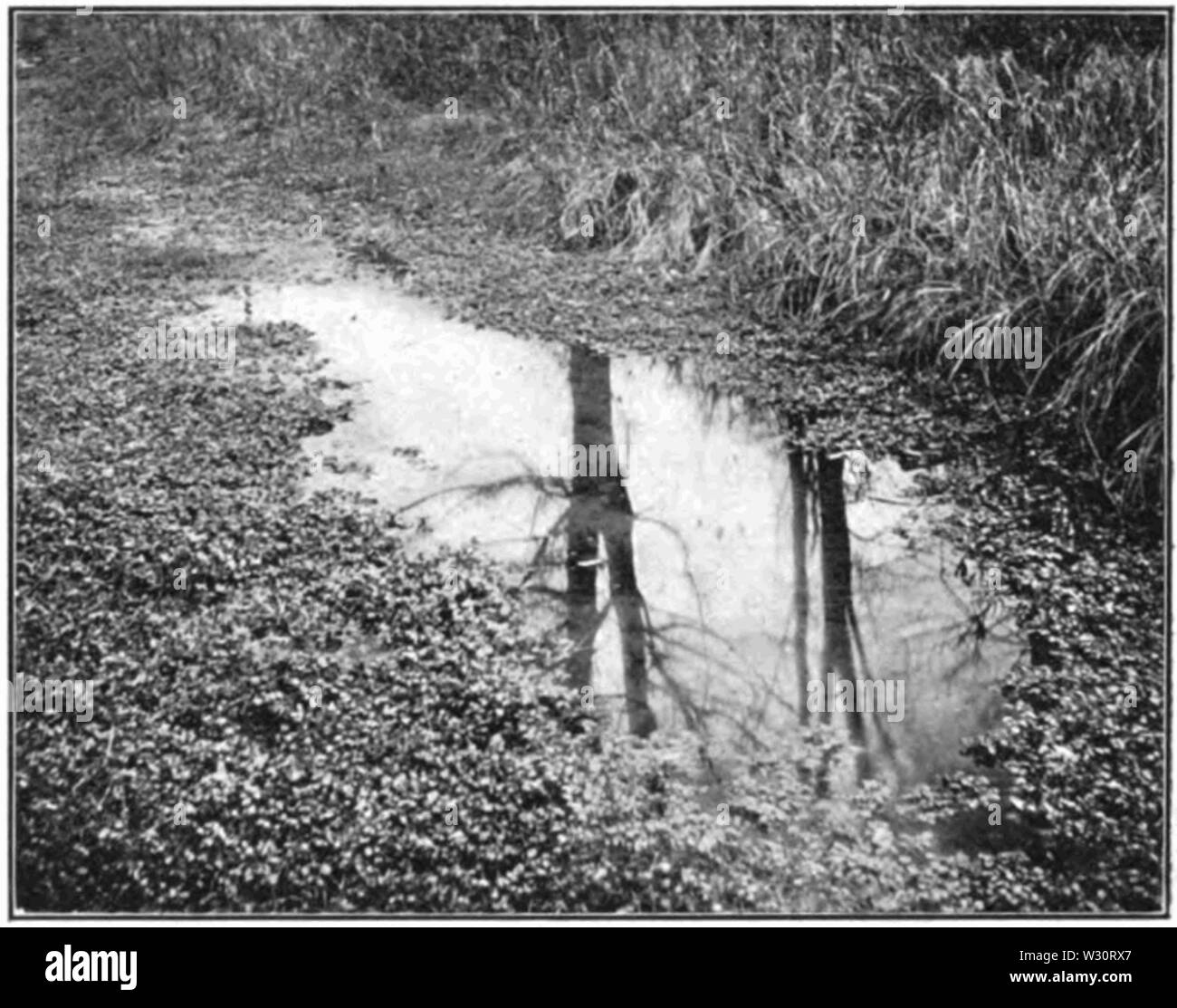 Chemung canal hires stock photography and images Alamy
