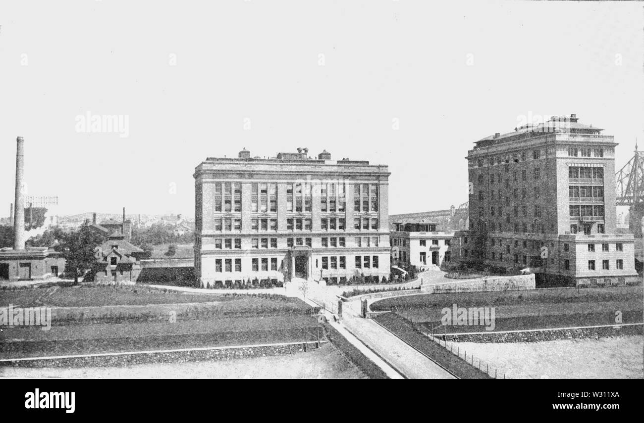 PSM V80 D416 Rockefeller institute for medical research Stock Photo - Alamy