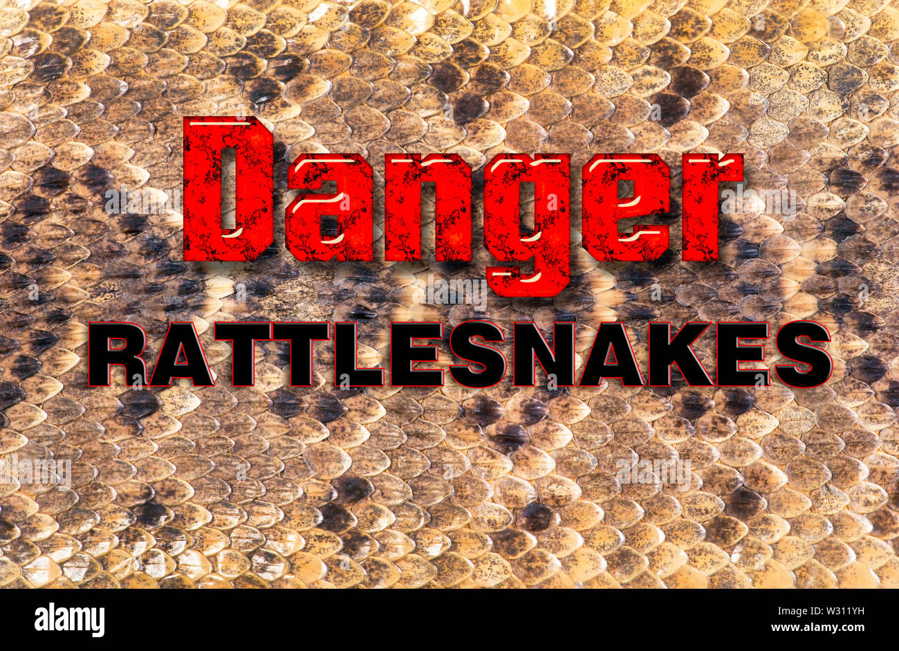 Texas diamondback rattlesnake skin will make for great background. Stock Photo
