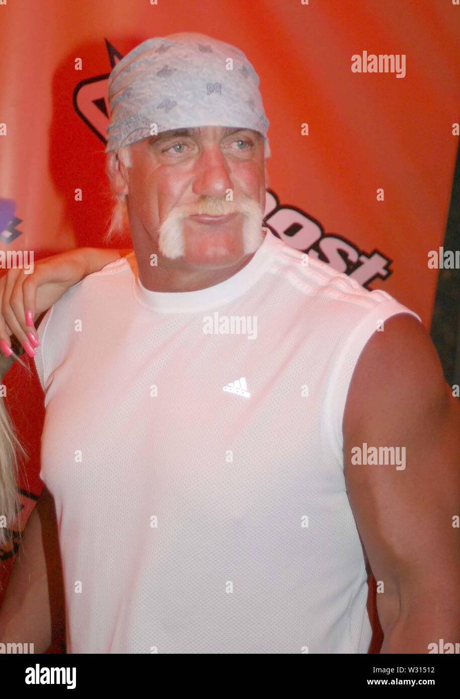 stock hogan