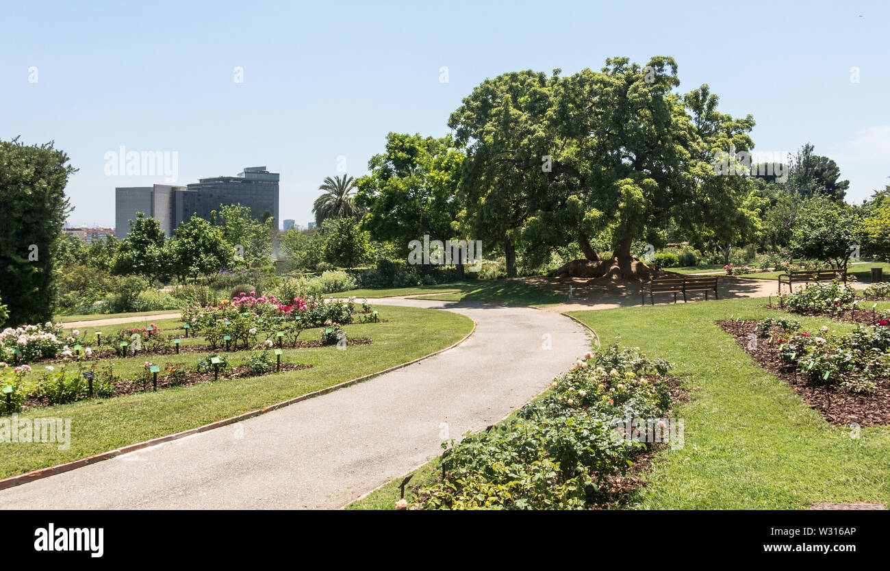 the Park Cervantes, rose garden, Barcelona. Spain Stock Photo Alamy