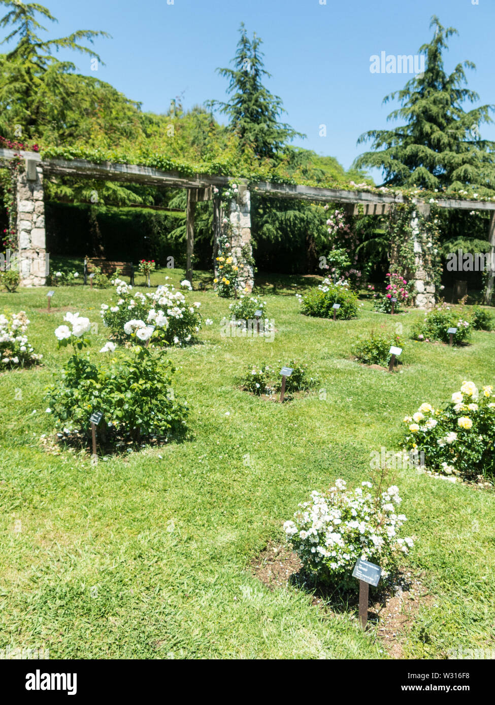 the Park Cervantes, rose garden, Barcelona. Spain Stock Photo Alamy