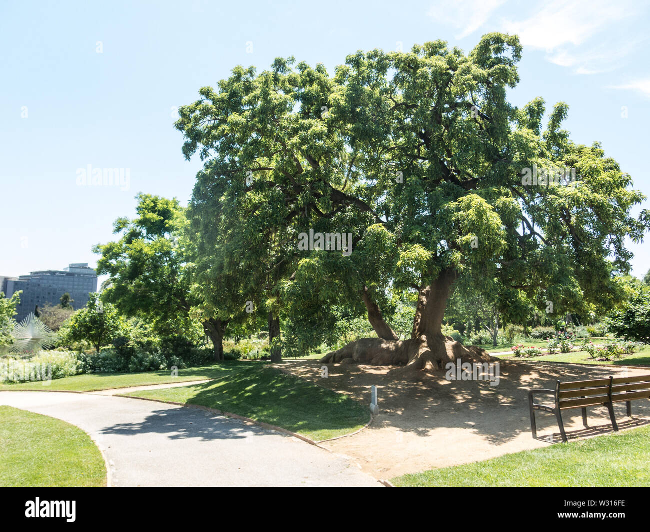 the Park Cervantes, rose garden, Barcelona. Spain Stock Photo Alamy