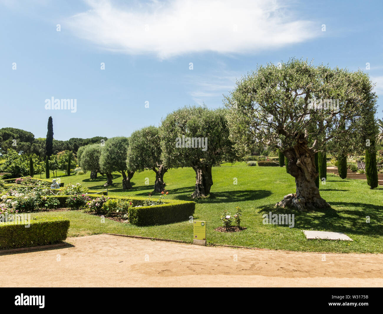 the Park Cervantes, rose garden, Barcelona. Spain Stock Photo Alamy