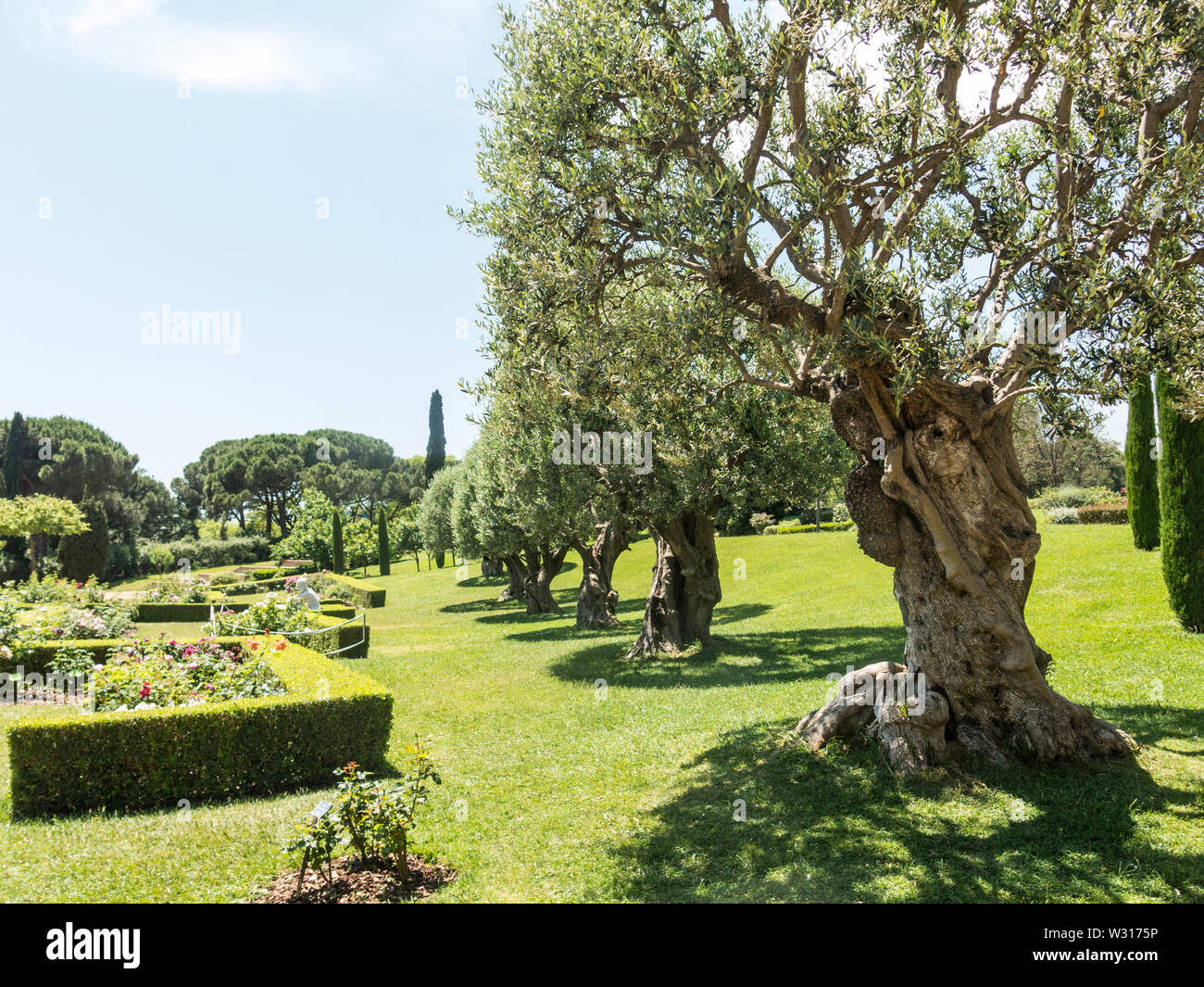 the Park Cervantes, rose garden, Barcelona. Spain Stock Photo Alamy