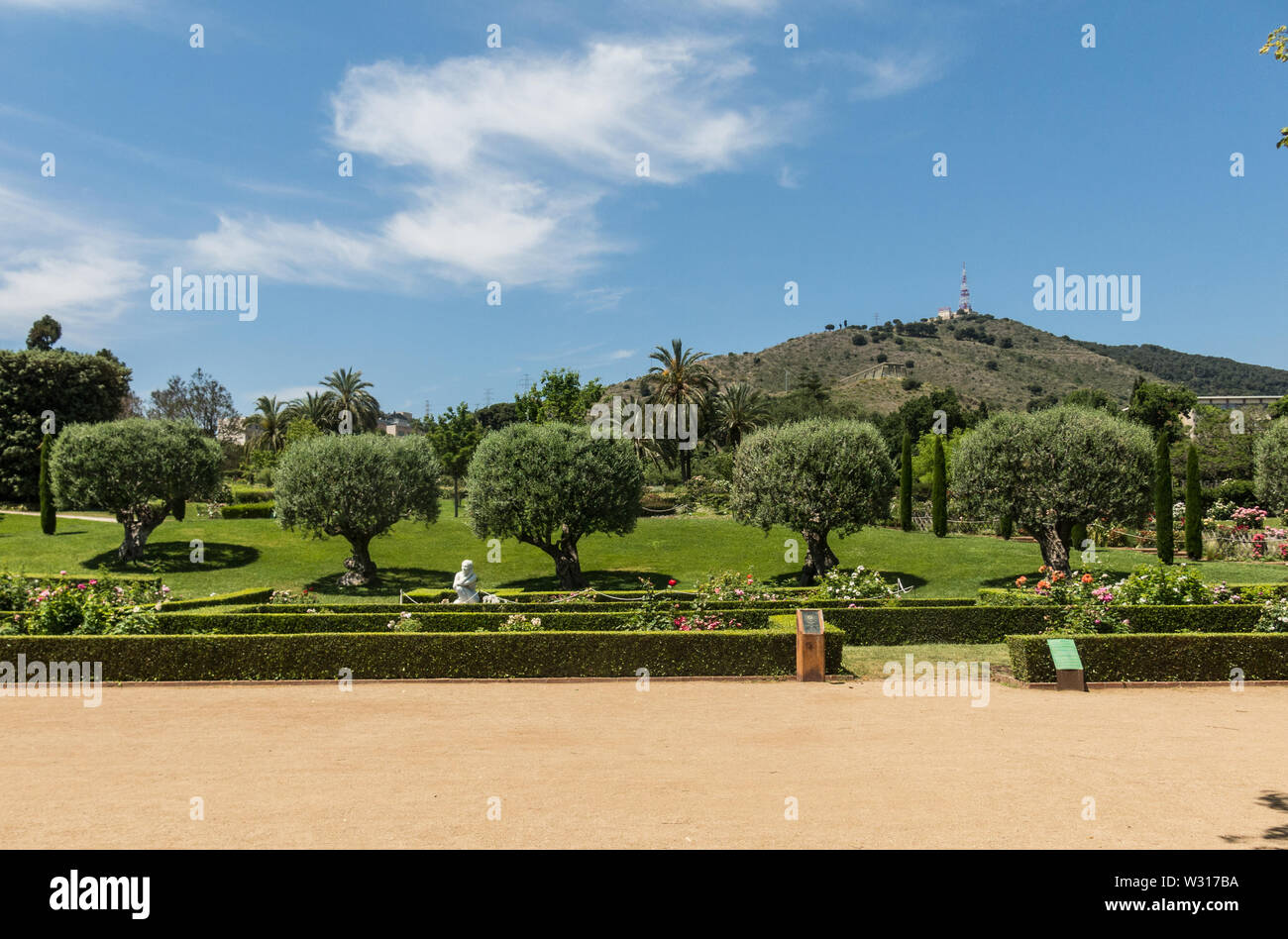 the Park Cervantes, rose garden, Barcelona. Spain Stock Photo Alamy