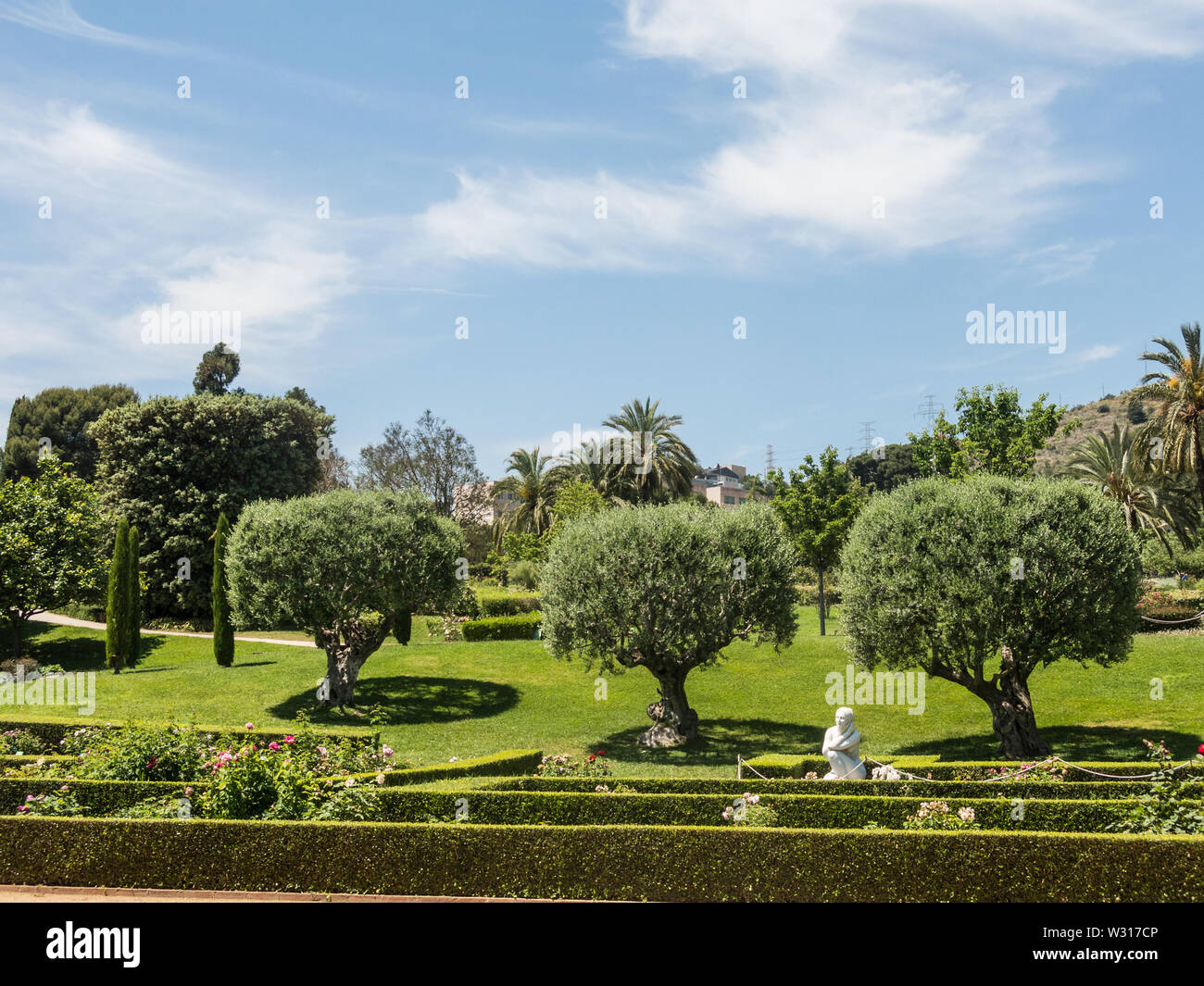 the Park Cervantes, rose garden, Barcelona. Spain Stock Photo Alamy