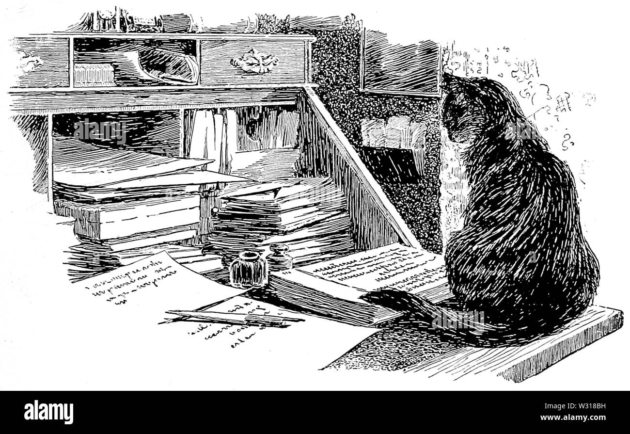 Page 305 illustration in The Fireside Sphinx Stock Photo