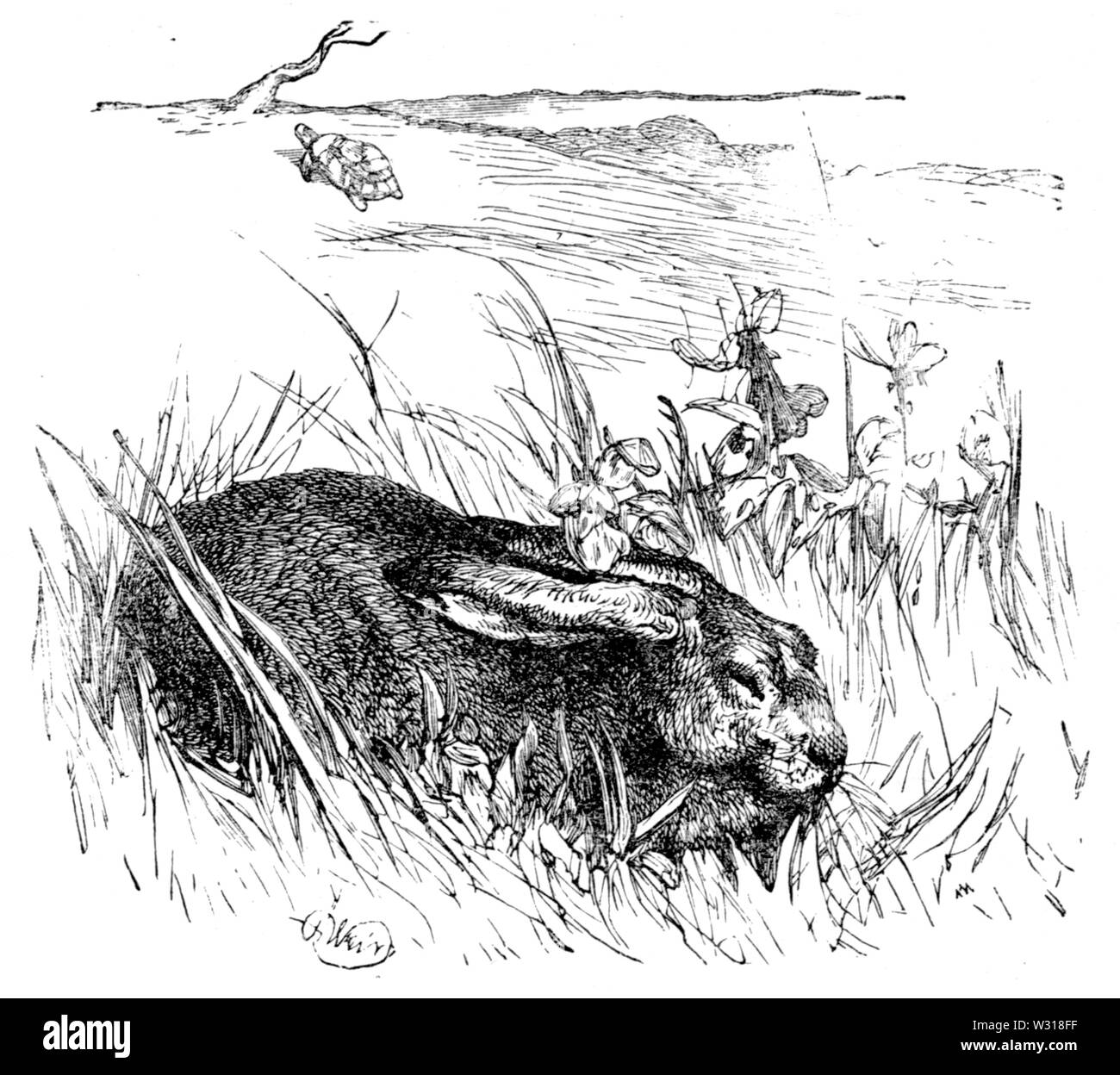 Page three classic Black and White Stock Photos Images Alamy