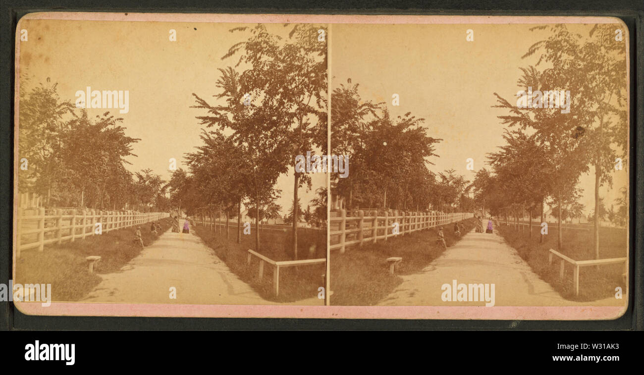 Park, Upper Walk, by Conant Bros Stock Photo Alamy