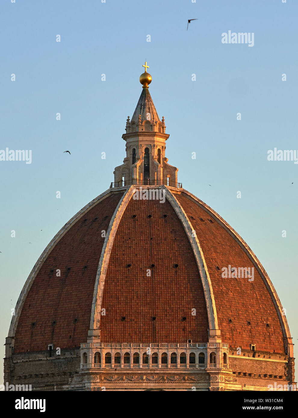 Bricks herringbone pattern brunelleschi hi-res stock photography and