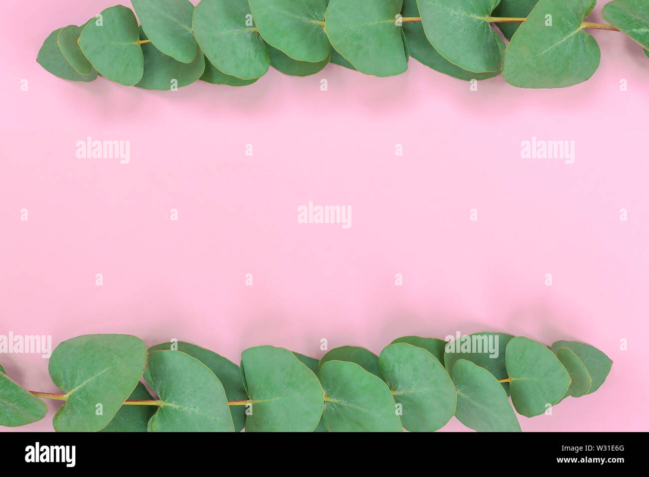 Wreath frame made of branches eucalyptus on soft pink background. Flat lay. Top view. Stock Photo