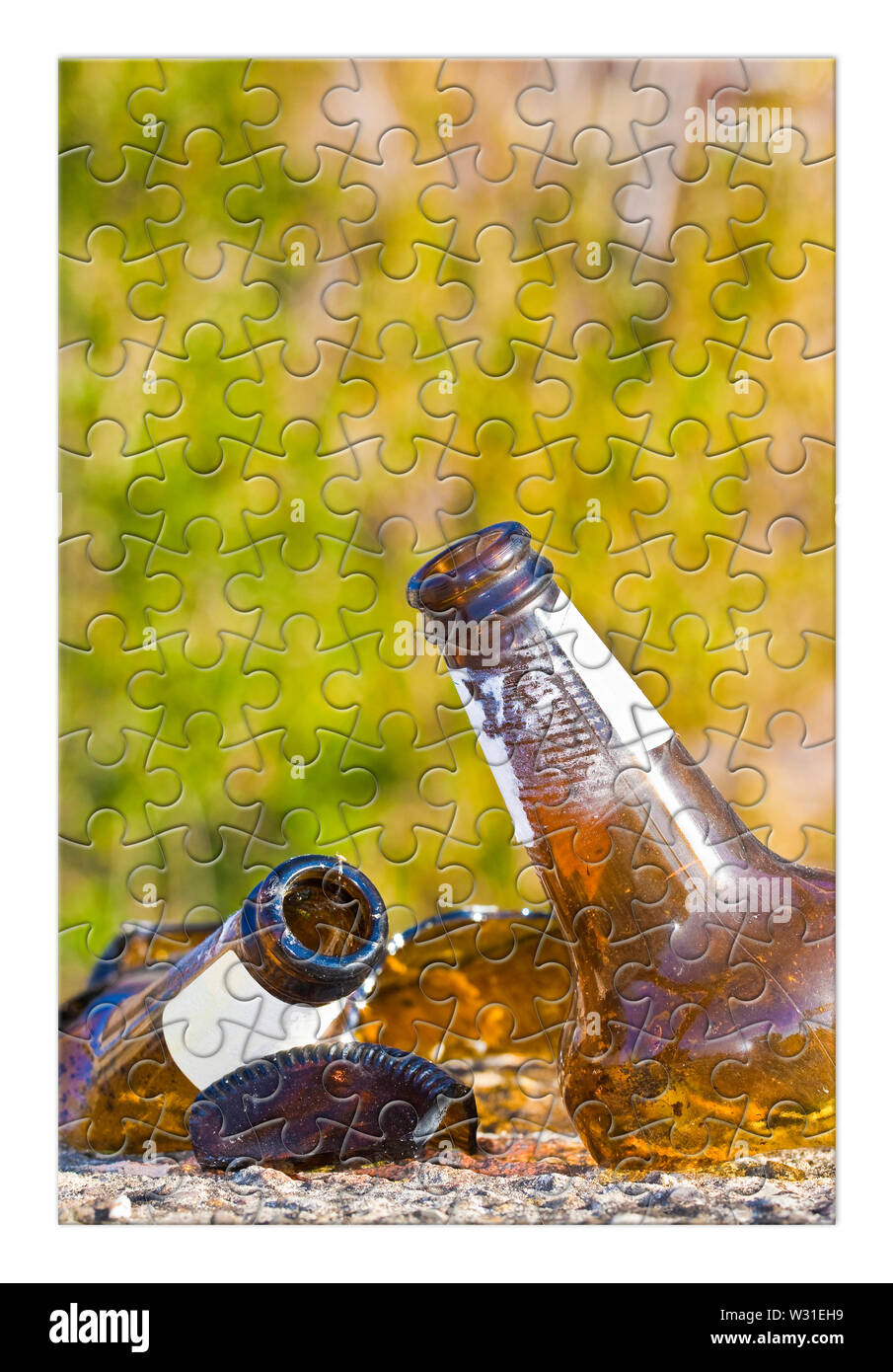 Smashed bottle of beer resting on the ground Address the alcoholism