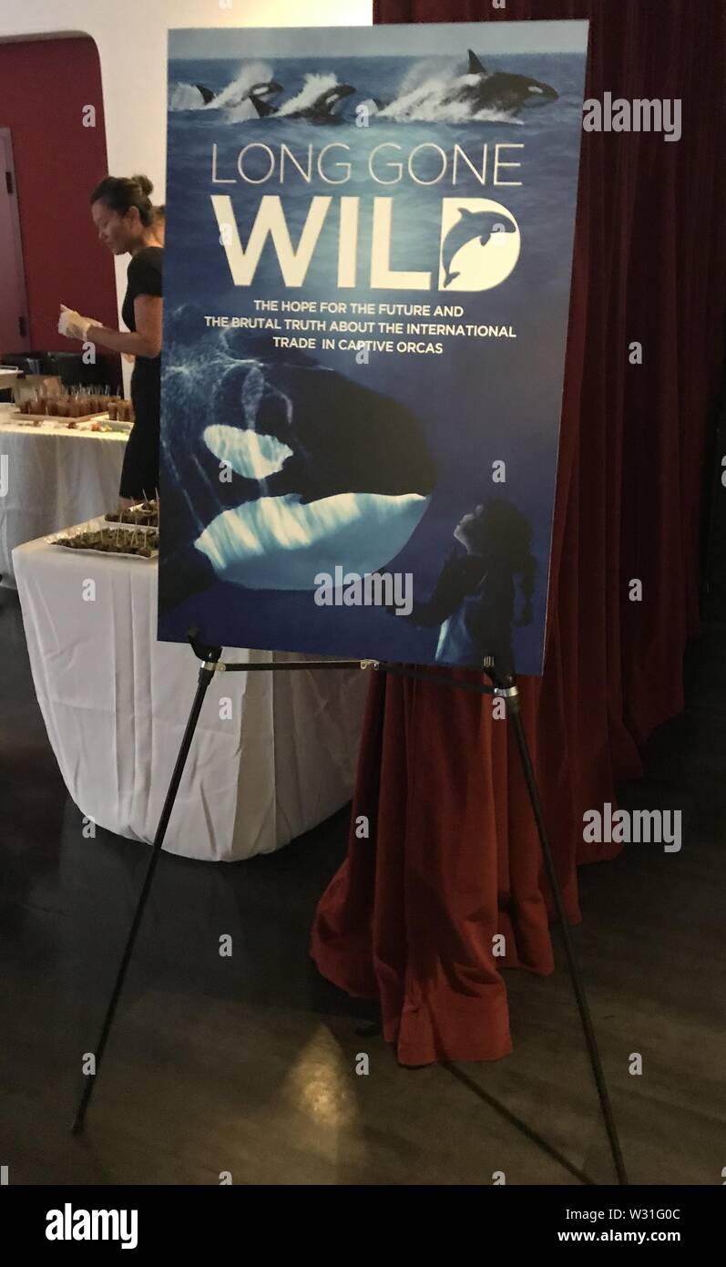 July 11, 2019 - Hollywood, California, U.S. - I16054CHW.Vision Films Presents The Los Angeles Premiere Of ''Long Gone Wild'' .Laemmle Monica Film Center, Santa Monica, California, USA .07/10/2019 .A GENERAL VIEW OF ATMOSPHERE AT ''LONG GONE WILD'' OS ANGELES PREMIERE PRESENTED BY VISION FILMS .Â©Clinton H.Wallace/Photomundo International/  Photos Inc  (Credit Image: © Clinton Wallace/Globe Photos via ZUMA Wire) Stock Photo