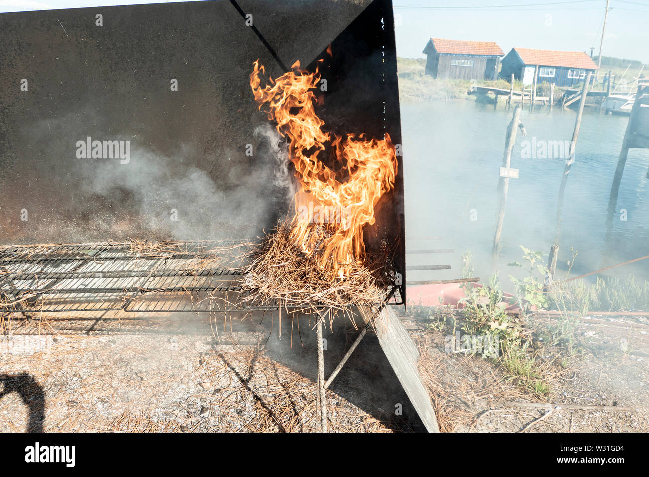Mussels are traditionally jannie with pine needles Stock Photo Alamy