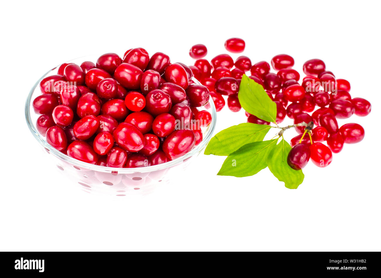 Red ripe berries of Cornus mas Stock Photo
