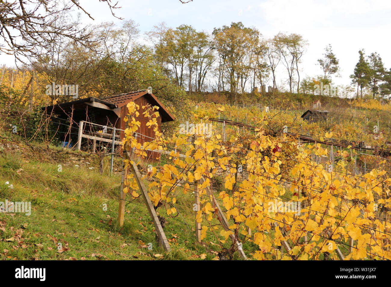 Weinberge auf dem Weg zur Wurmlinger Kapelle auf der Schwäbischen Alb in Süddeutschland Stock Photo