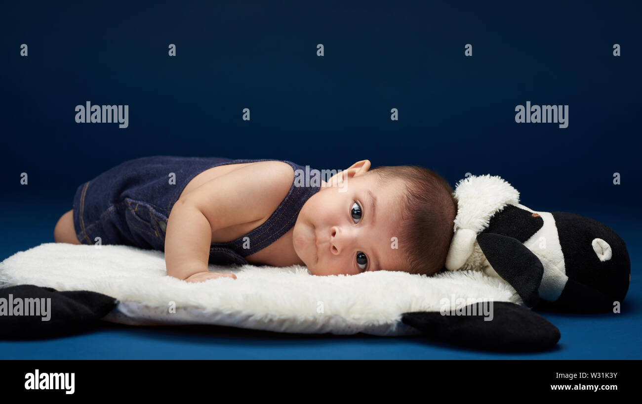 Close-up portrait of cute baby laying on pillow in blue studio background  Stock Photo - Alamy