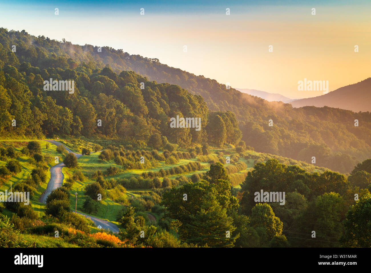 The terraces of The Orchard at Altapass from the Loops overlook on the ...