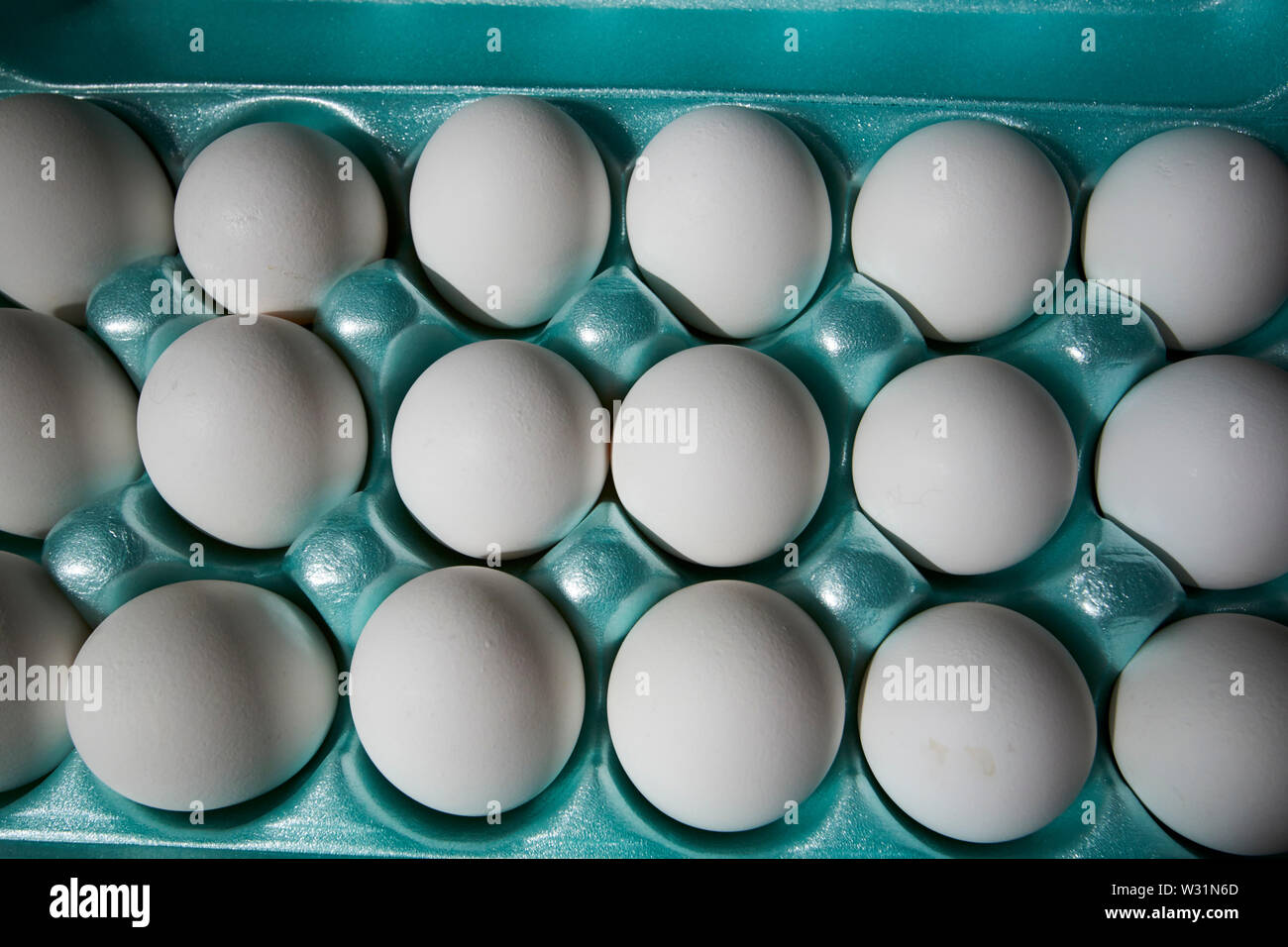 styrofoam box of white eggs in the USA United States of America Stock Photo