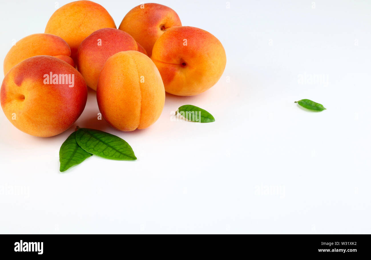 Fresh apricots with green leaves isolated on white background Stock