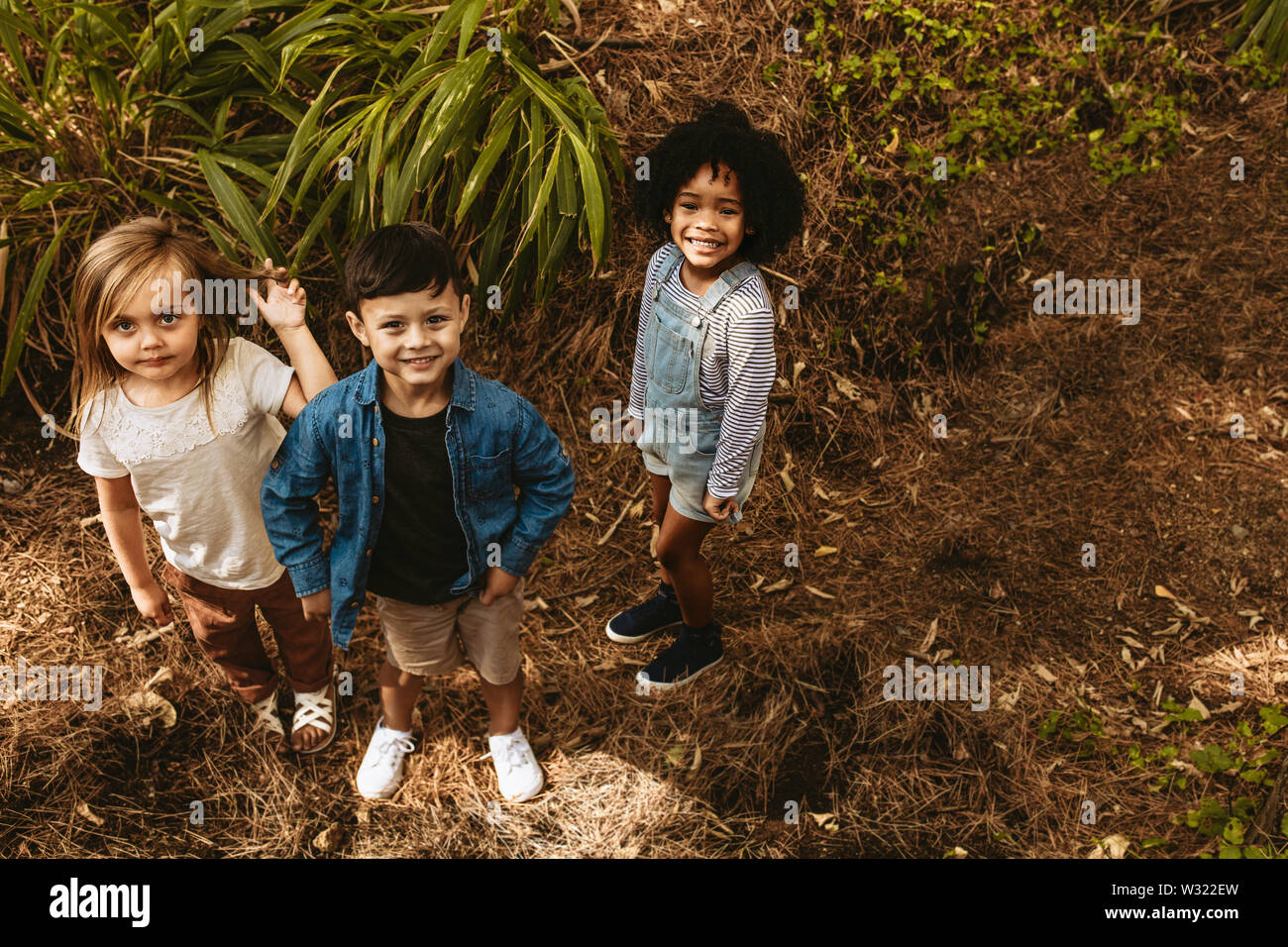 Three kids standing together in forest and looking at camera. Multi-ethnic children playing in woods. Stock Photo