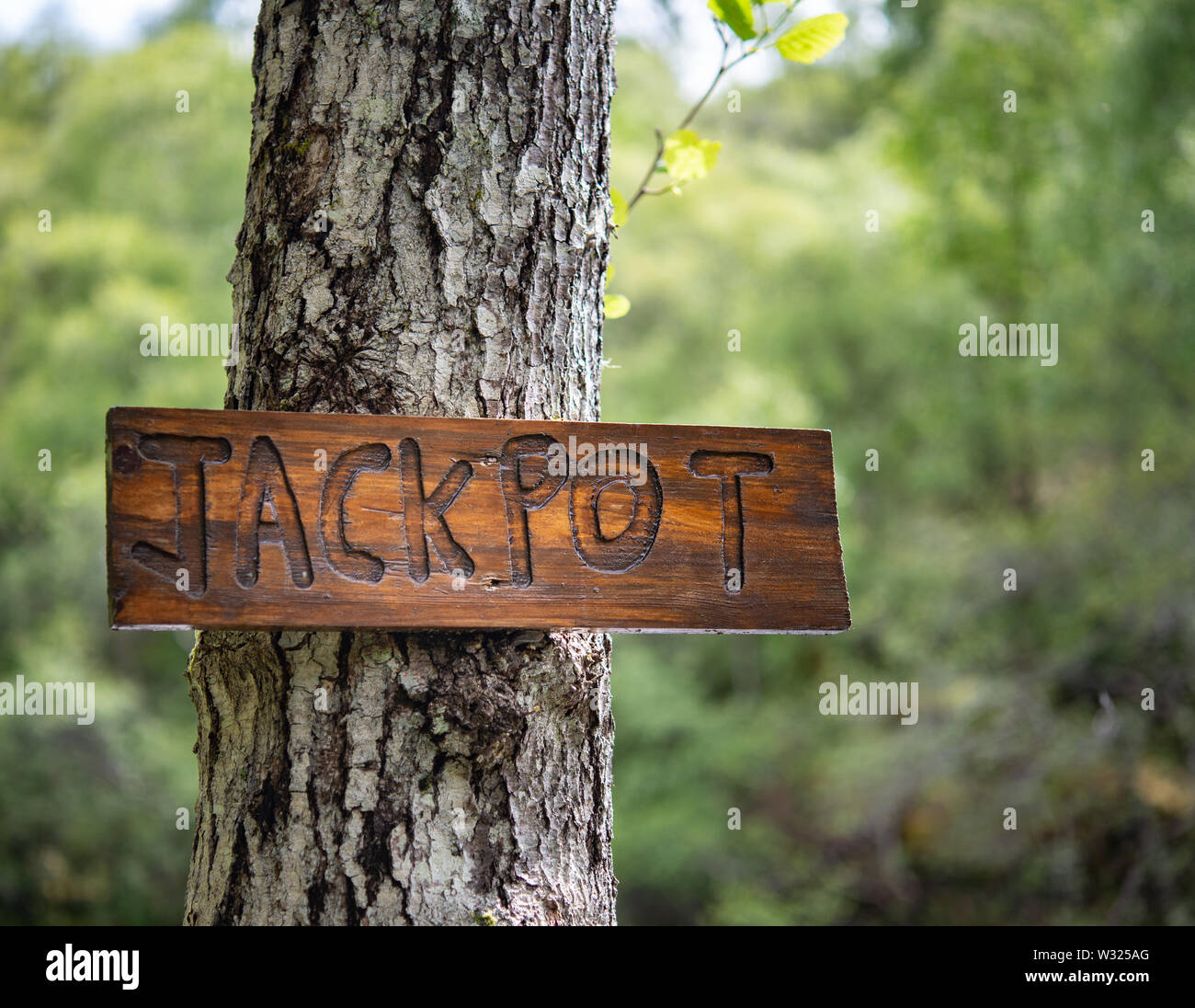 Wooden jackpot sign, river Shin on Scottish Highlands Stock Photo