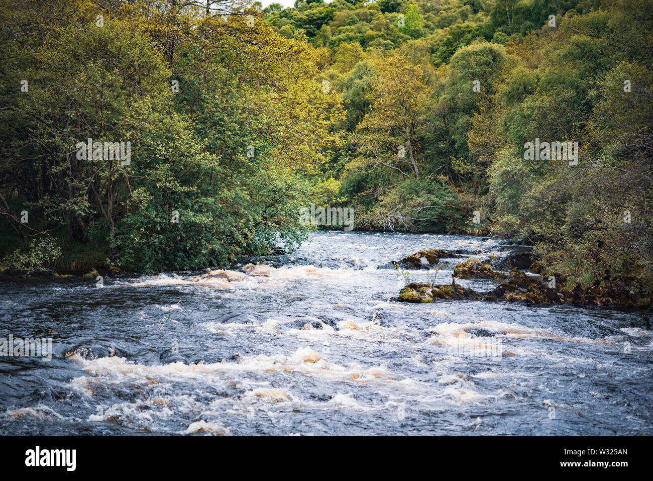 Bubbling river Shin surrounded by Shin forest Stock Photo