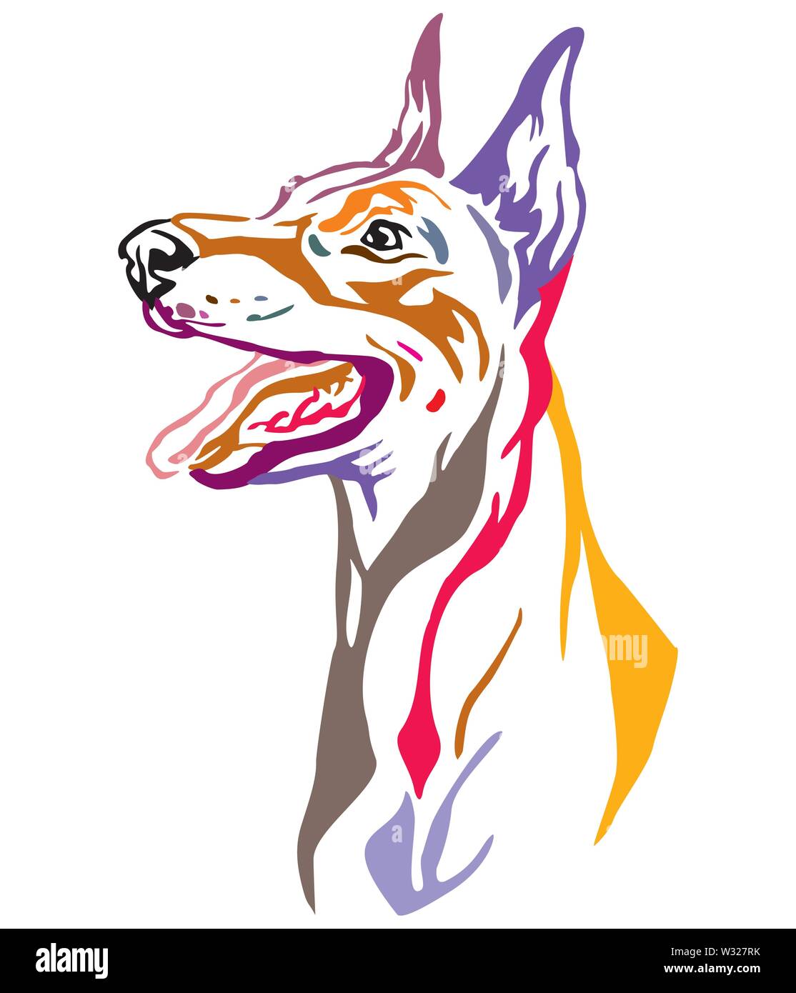 Colorful decorative outline portrait of Dobermann Dog looking in profile, vector illustration in different colors isolated on white background. Image Stock Vector