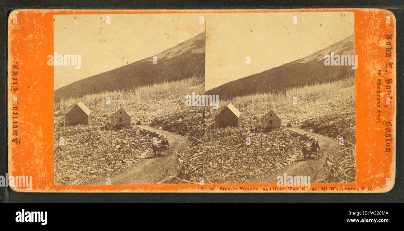 Silver Forrest (sic) and Half-Way House, Mt Washington, NH, by Soule, John P, 1827-1904 Stock