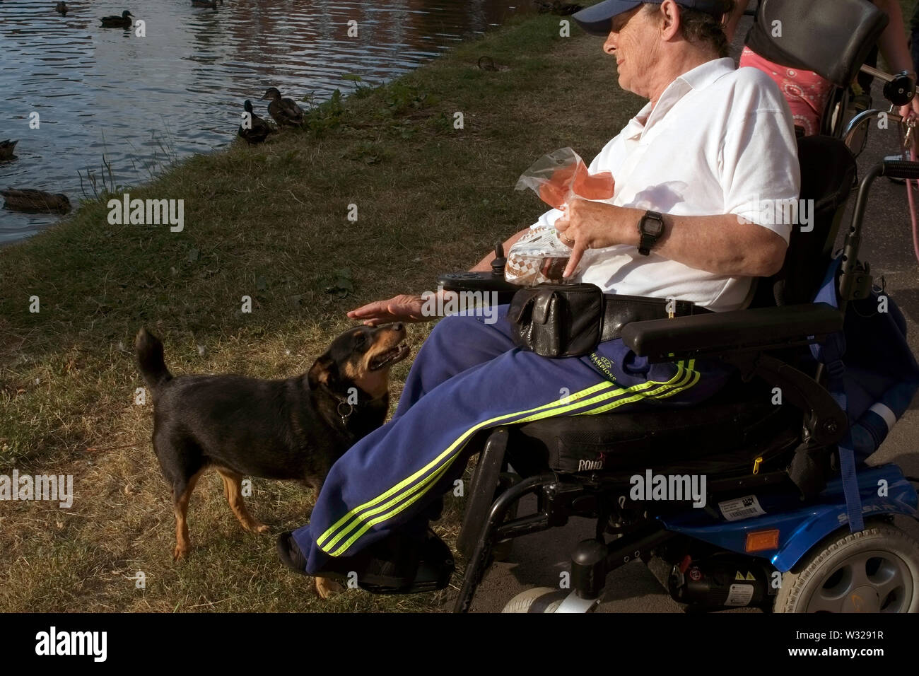 Dog Bum Stock Photos Dog Bum Stock Images Alamy