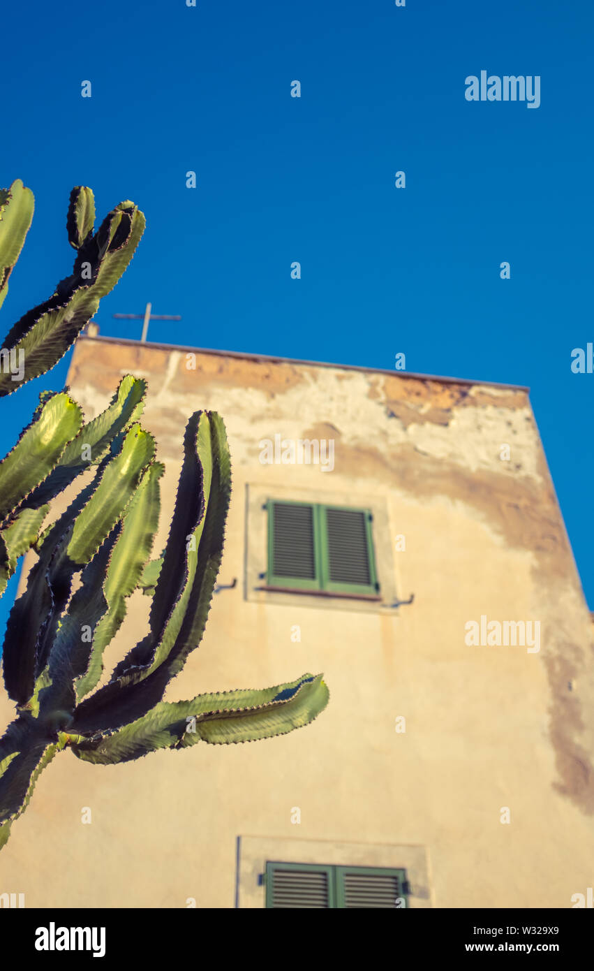 A Grungy Traditional Spanish Or Mexican Style Home On A Bright Sunny Day With A Cactus In The Foreground Stock Photo