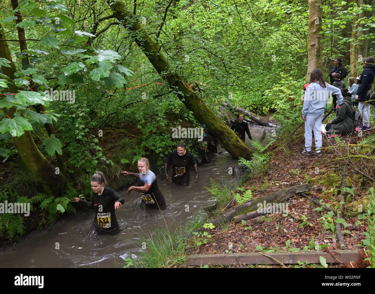 Participant runners in the 'Muddy Trial' races wading through a water filled ditch on the Craufurdland Estate, Kilmarnock, Scotland, UK Stock Photo