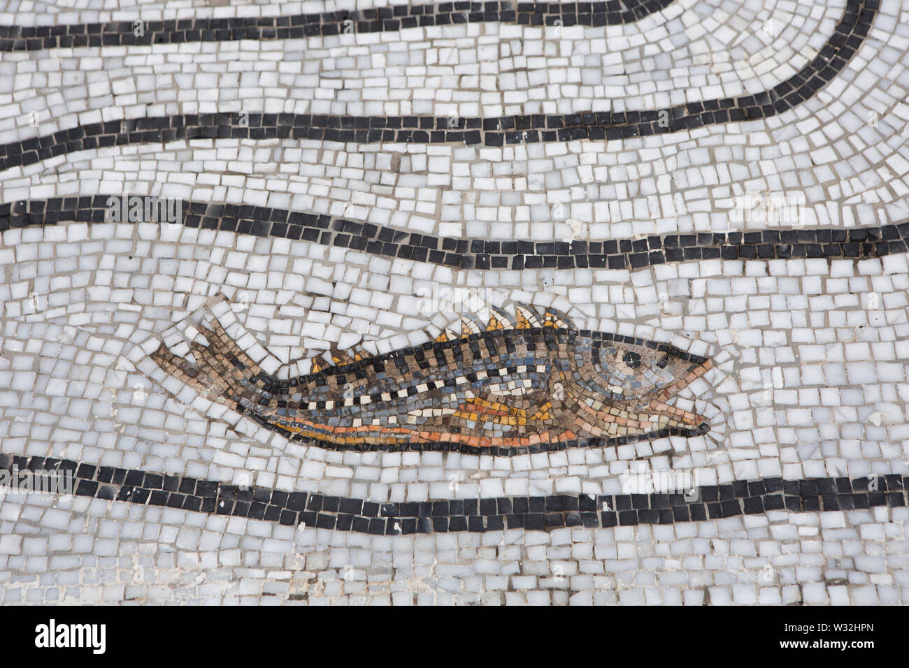black and white mosaic with a colorful fish mosaic in Positano, on the Amalfi coast, Italy Stock Photo