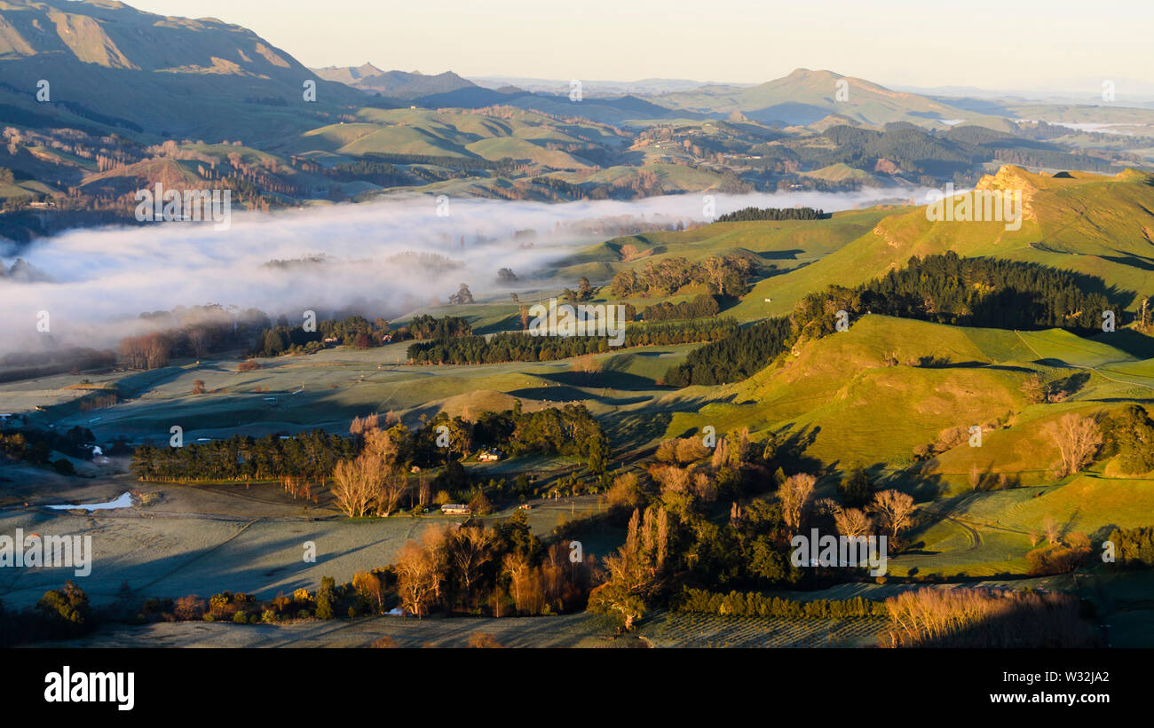 Morning at Te Mata, New Zealand Stock Photo
