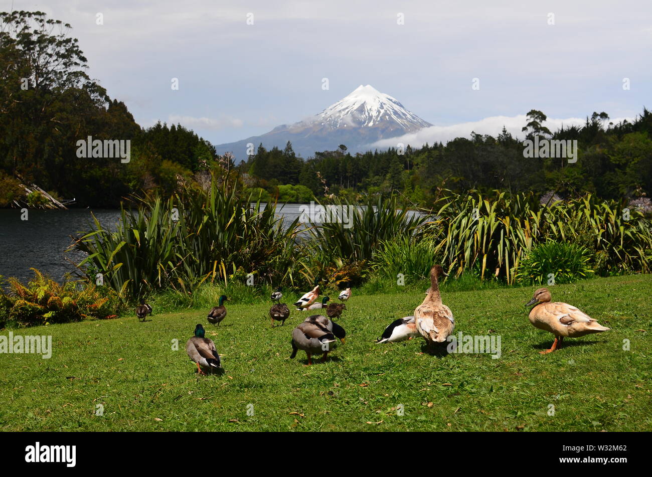 Mount Taranaki, New Zealand Stock Photo