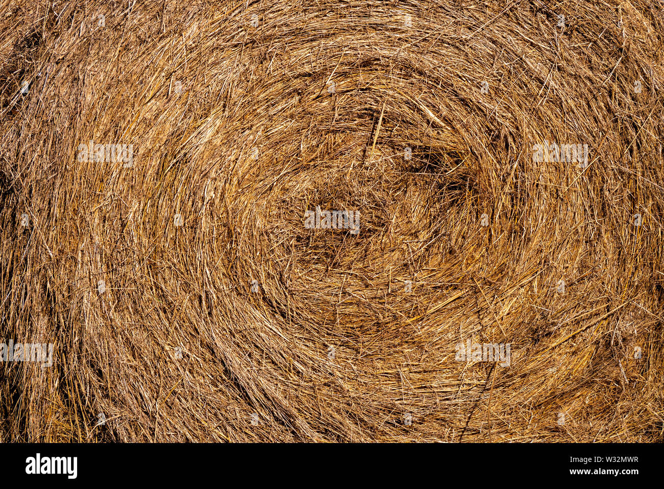 Rolls of straw to feed the cattle. Hay is grass, legumes, or other