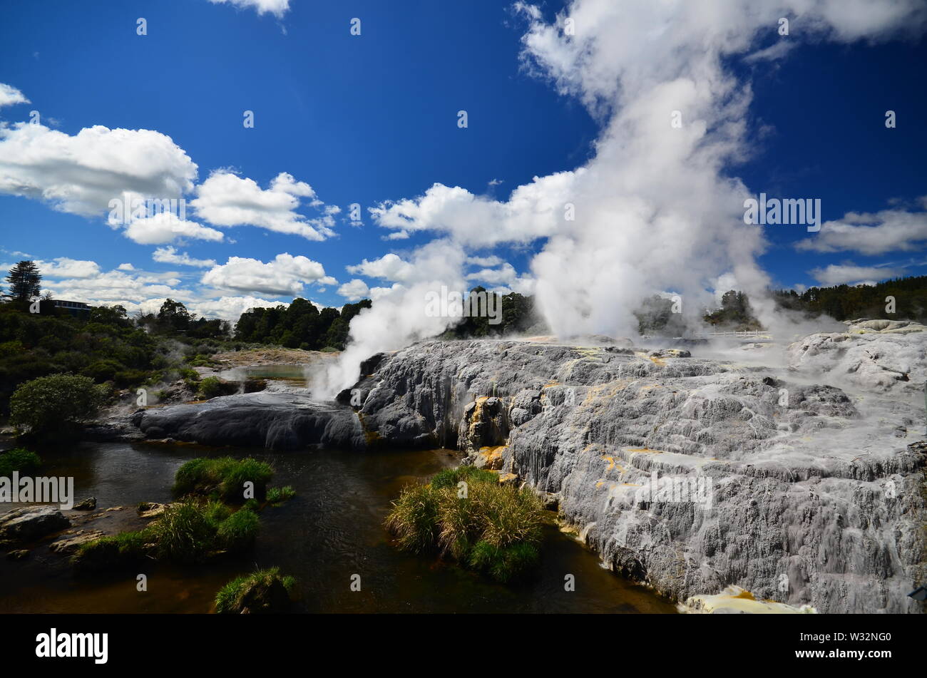 Thermal area in Rotorua Stock Photo Alamy