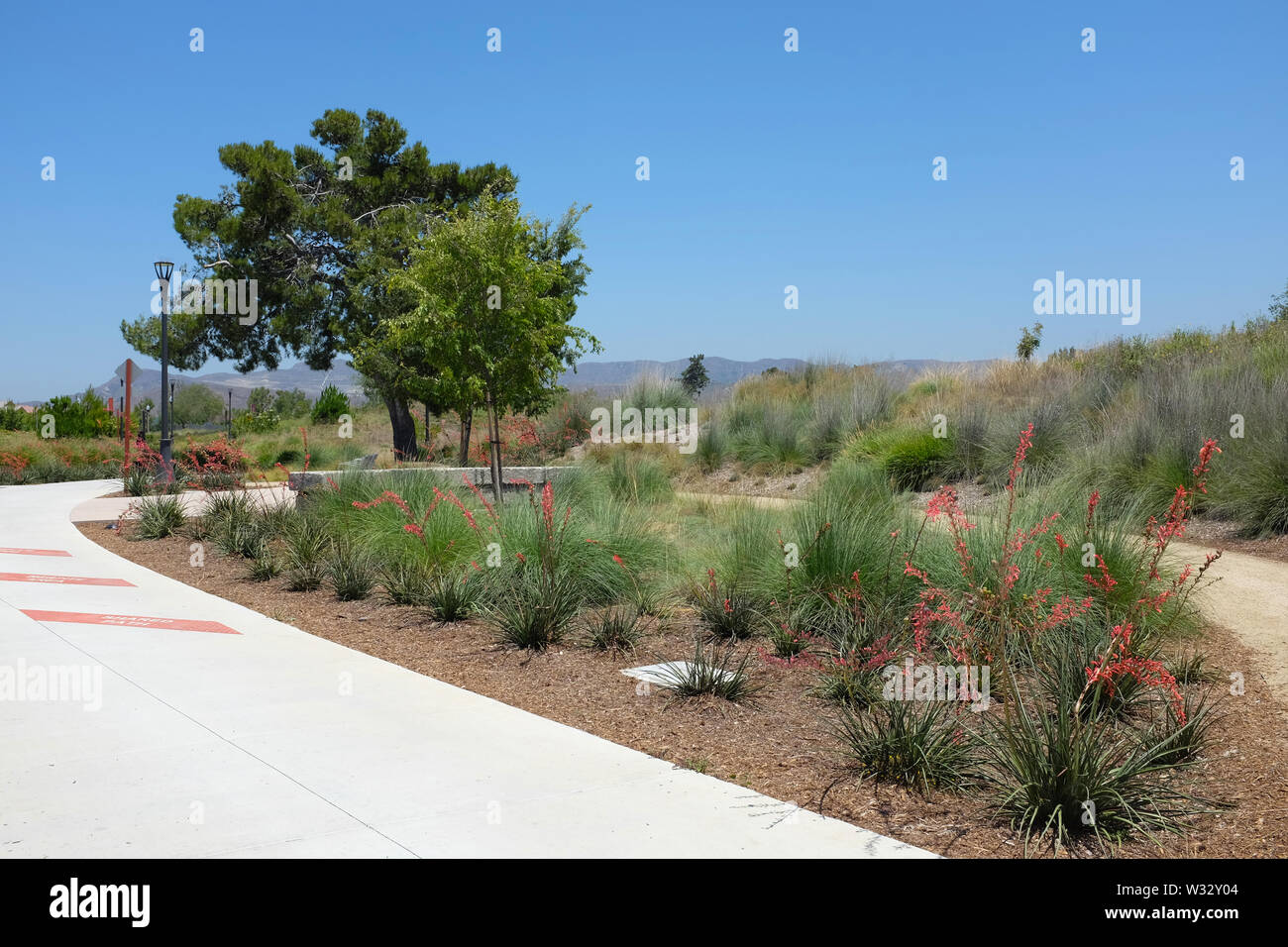 IRIVNE, CALIFORNIA - JULY 11, 2019: Drought tolerant and native plantings along the trail in the Bosque Area of the Great Park. Stock Photo